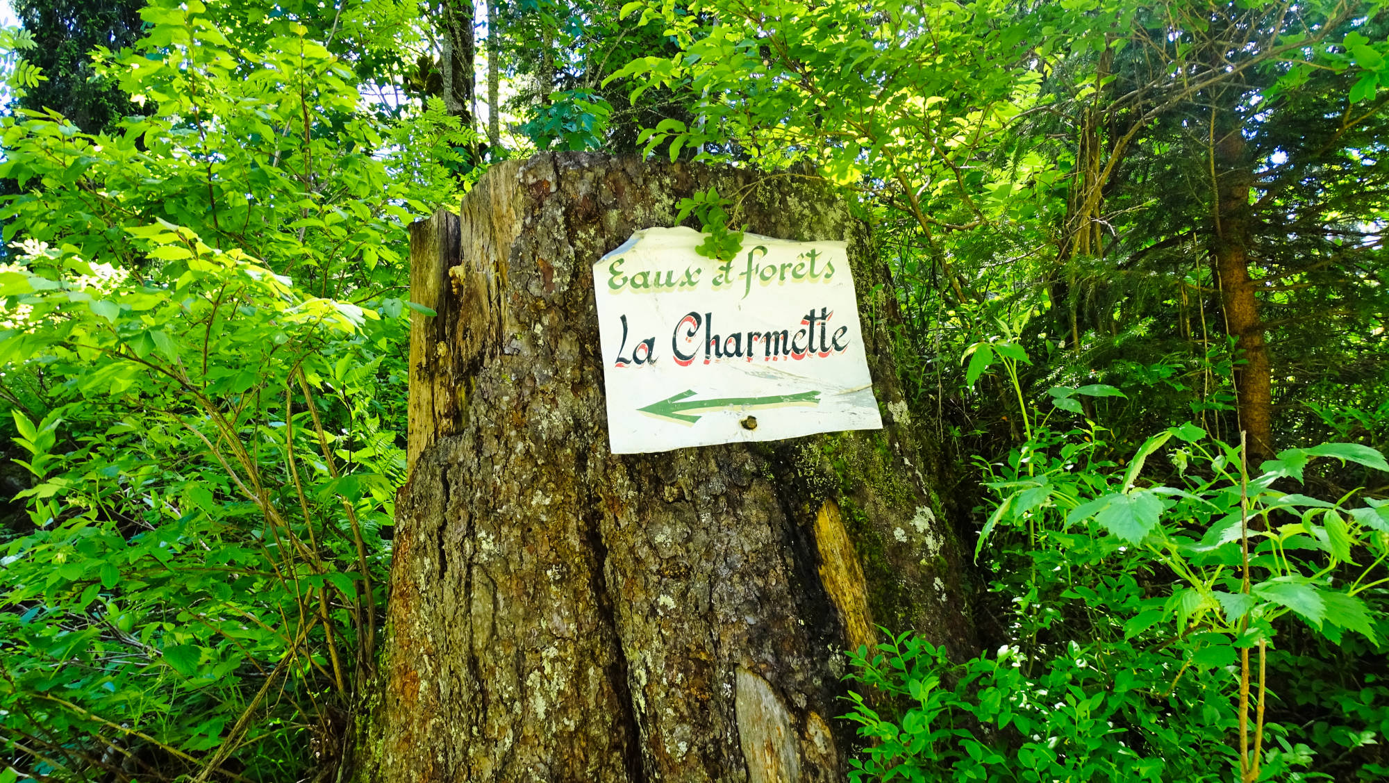 Randonnée en Chartreuse le goulet d'Hurtières