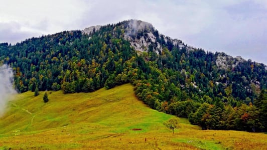 Le col de la Ruchère  randonnée dans le massif de la Chartreuse France
