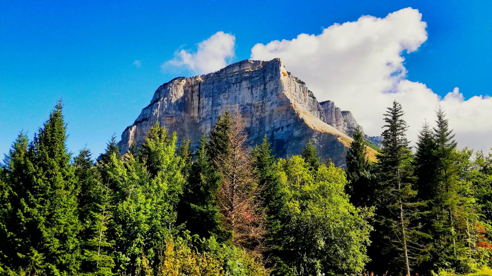 Mont Granier randonnée dans le massif de la Chartreuse