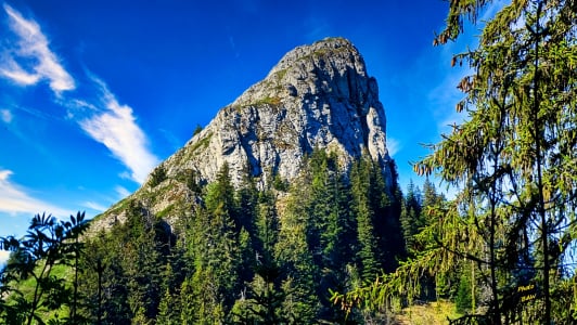Le sommet de la Pinéa randonnée dans le massif de la Chartreuse France